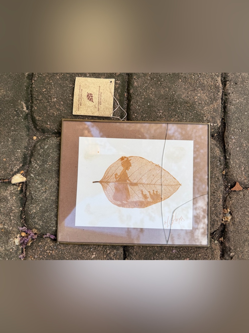 Mexican Handmade Skeleton Leaf Art Hoja Calada Signed Framed Folk Art